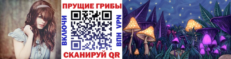 Псилоцибиновые грибы Psilocybine cubensis  как найти закладки  Ачинск 
